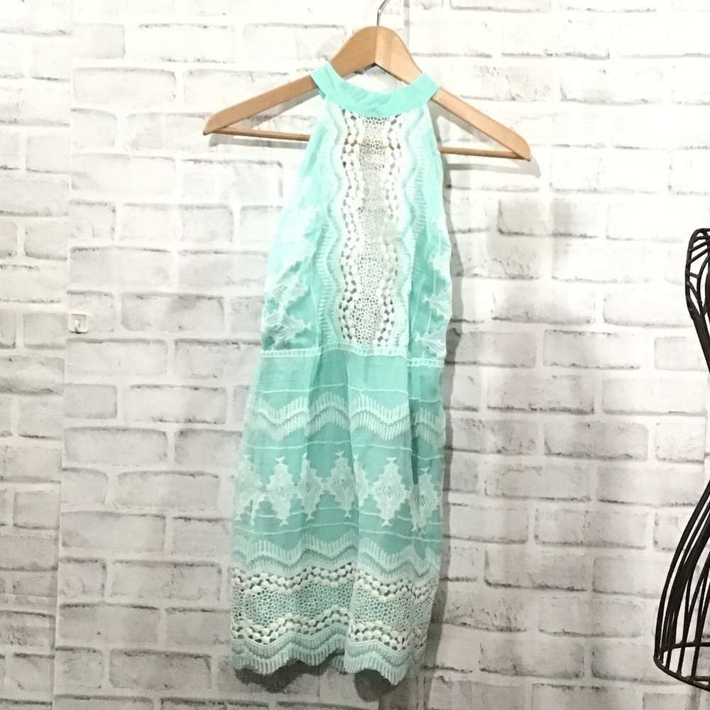 Dress Forum Teal embroidered dress
